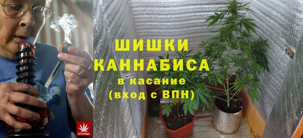 прущие крисы Каменка