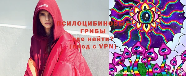 прущие крисы Каменка