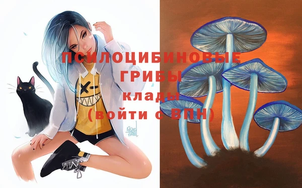 прущие крисы Каменка
