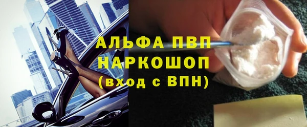 прущие крисы Каменка