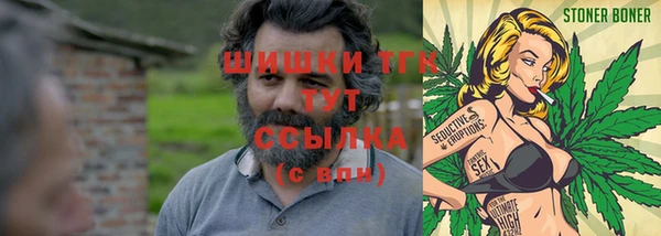 прущие крисы Каменка