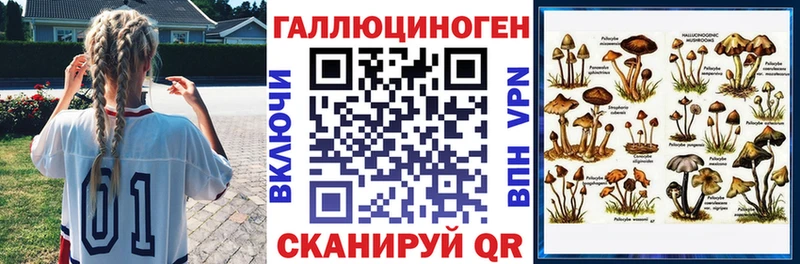 Галлюциногенные грибы GOLDEN TEACHER Каменск-Шахтинский
