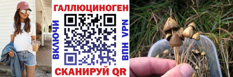 Купить где  Каменск-Шахтинский  Псилоцибиновые грибы мухоморы 